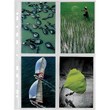 Buste portafoto Special Favorit - con divisorio - 01936004 (conf.10)