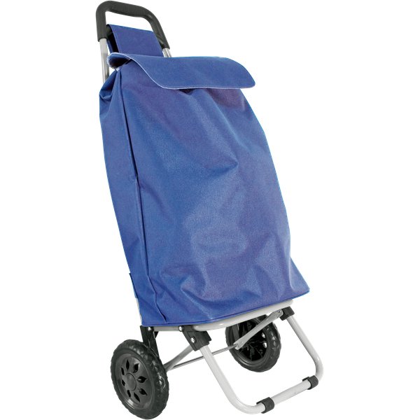 Carrello spesa multiuso modello utility, comodo per il trasporto della merce.