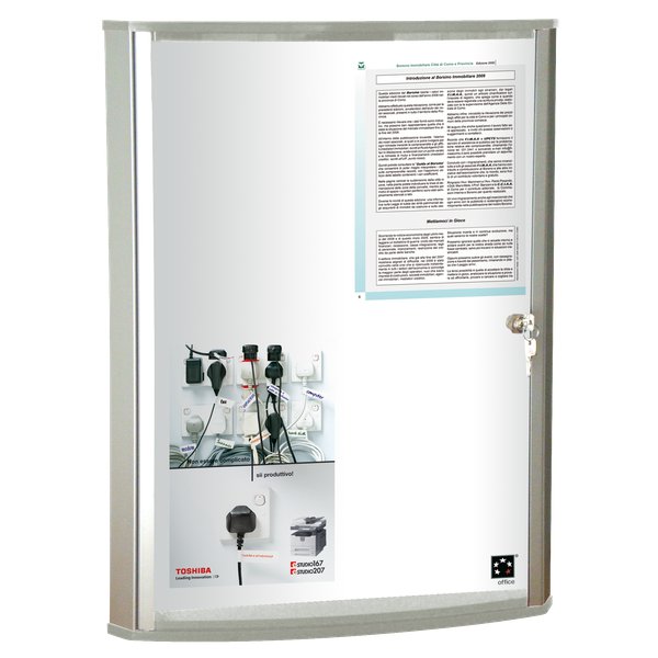 Bacheca per interni con anta a battente serie WDX 5 Star - 4xA4 - 50x7,5x66 cm - verticale - WDX4