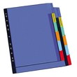 Divisori colorati in Kristal. 6 posizioni. Perforazione universale. Forniti di 12 etichette inseribili nei tasti.
