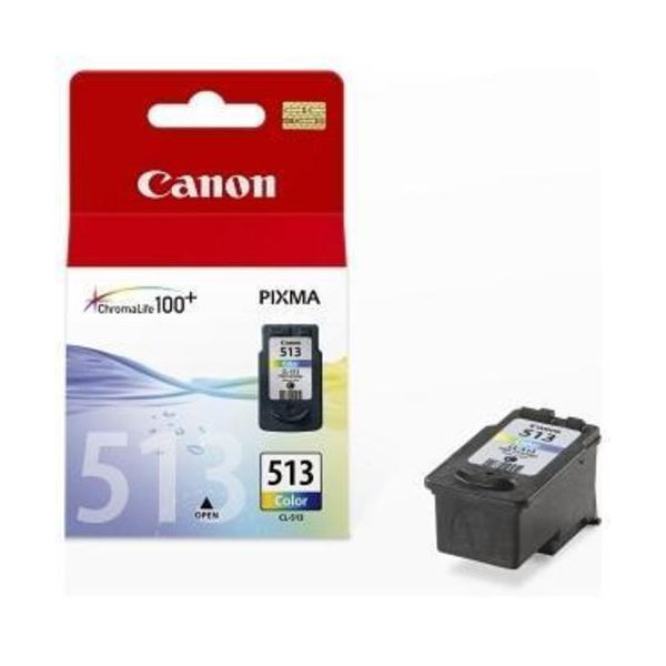 Originale Canon 2971B001 Cartuccia inkjet alta resa Chromalife 100+ CL-513 colore